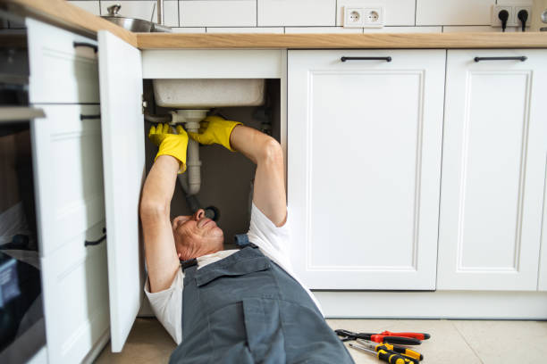 Best Plumbing Inspection Services  in Coplay, PA